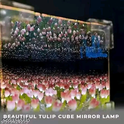 Wishpitara Tulip Cube Mirror Lamp