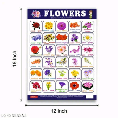 Complete Kids Educational Charts